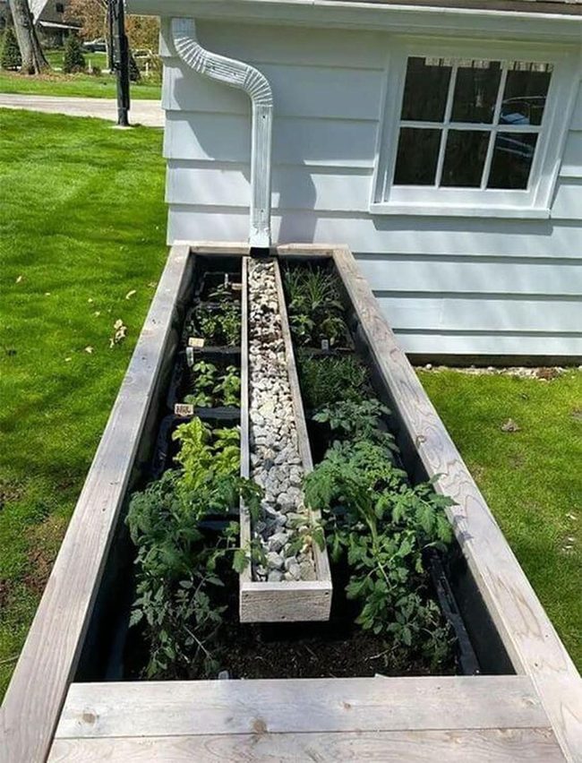 Vertical Herbs And Climbing Trellises