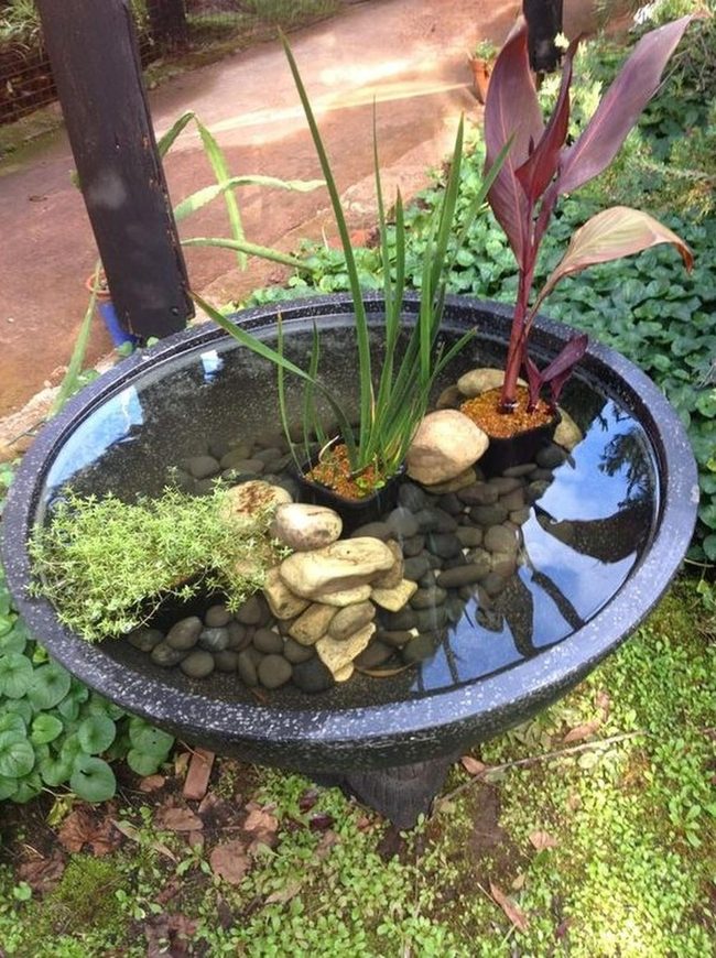 Black Stone Water Bowl With Living Plants