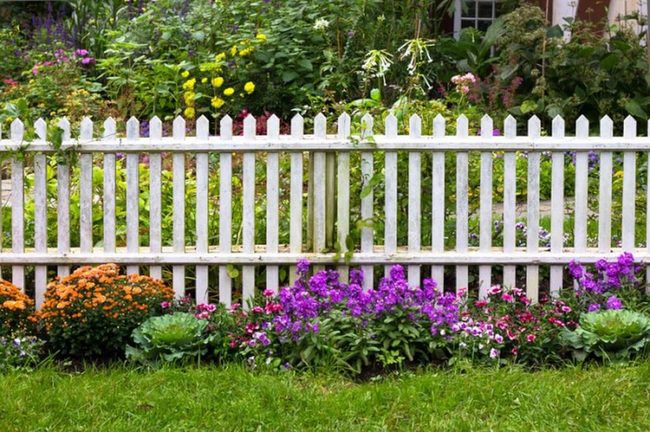 Colorful Blooms White Picket Fence