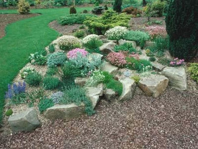 Layered Plants And Scattered Boulders