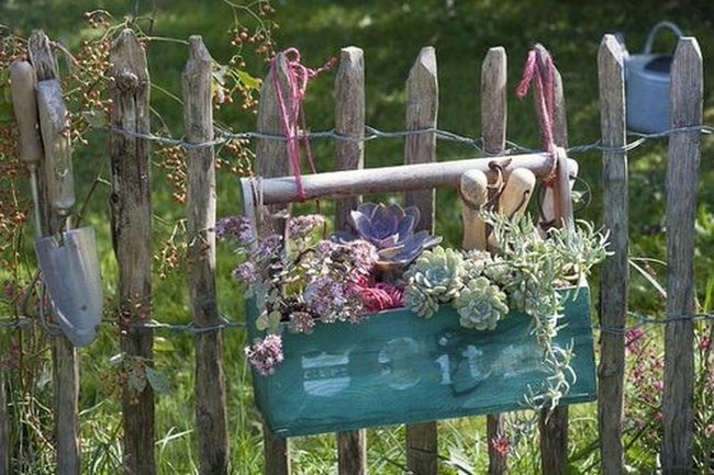 Rusted Metal Boxes, Living Succulents