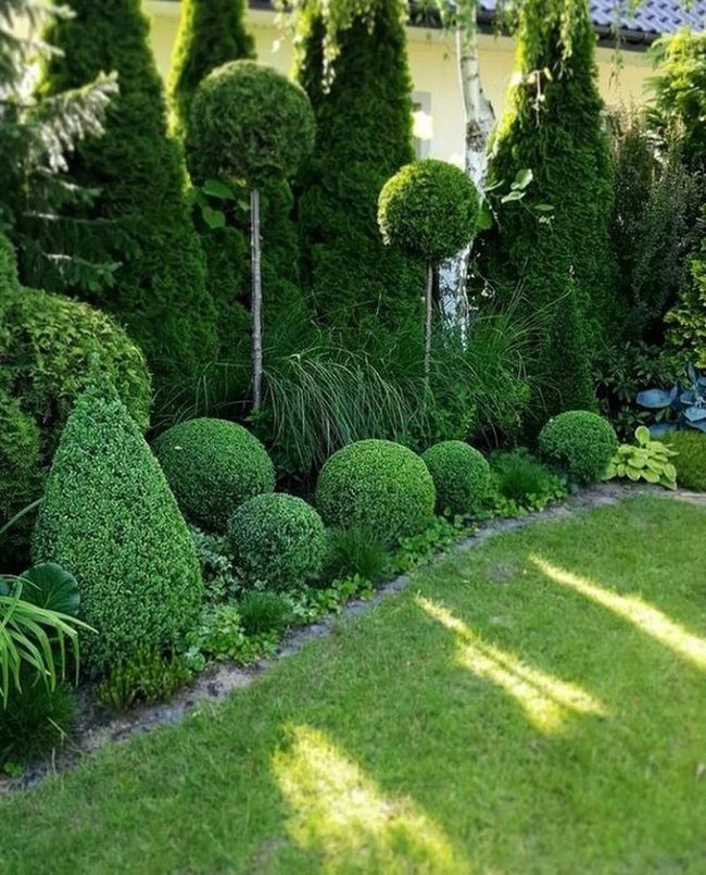 Sunlit Lawn With Layered Greens
