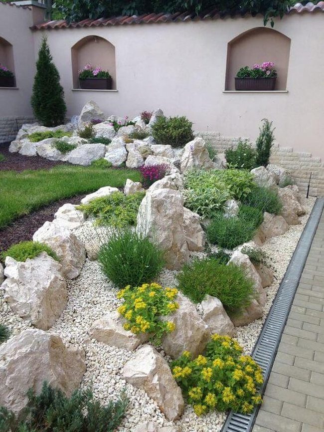 Rocky Garden With Flowering Ground Cover