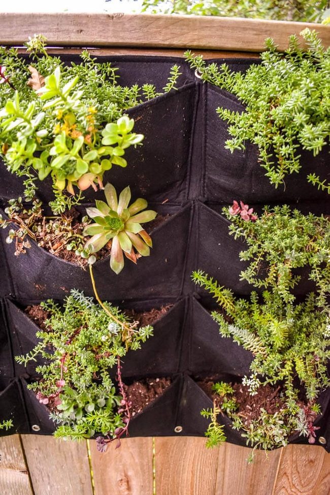 Vertical Wall Pocket Gardens