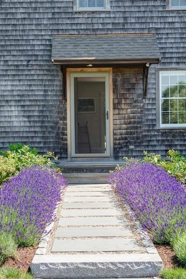 Purple Lavender Entry Garden
