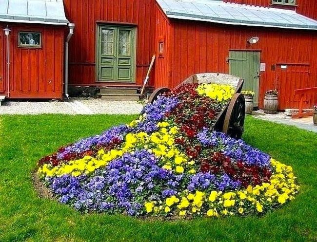 Overflowing Pot Of Colorful Blooms