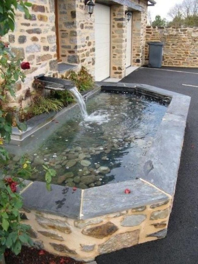 Stone Pond With Red Flowers
