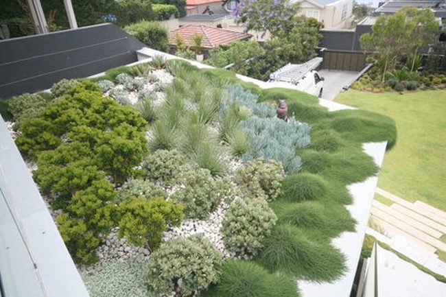 Rooftop Green Beds Transform Bare Concrete