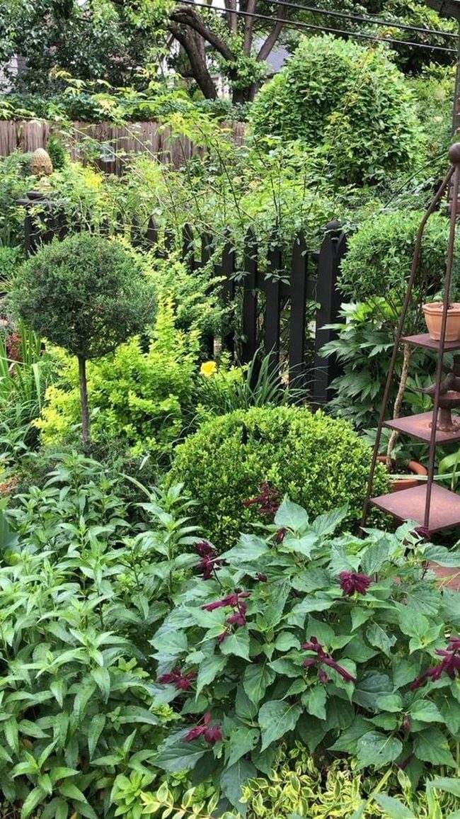 Layered Greenery Creates Hidden Pathways