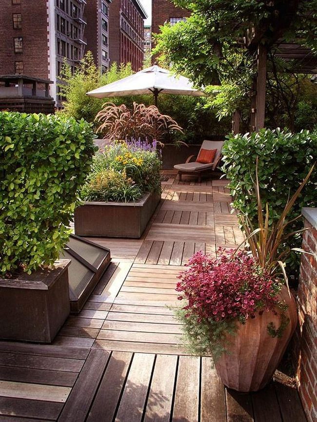 Rooftop Garden Green Escape