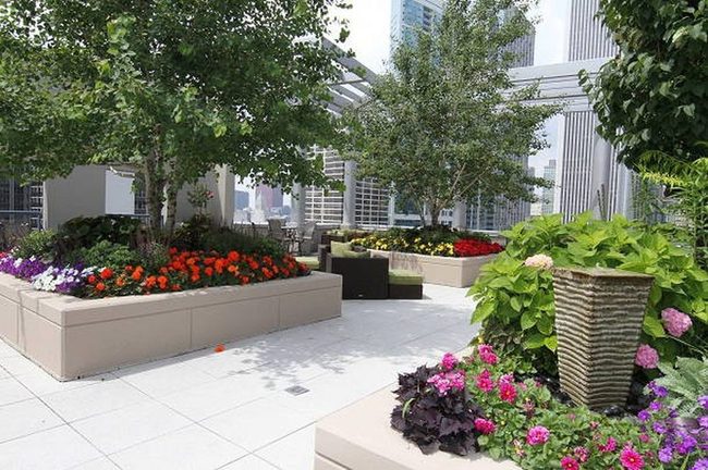 Vertical Blooms Small Spaces