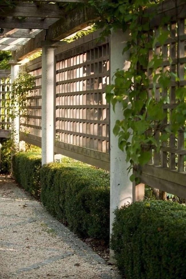 Dappled Shadows Garden Passage