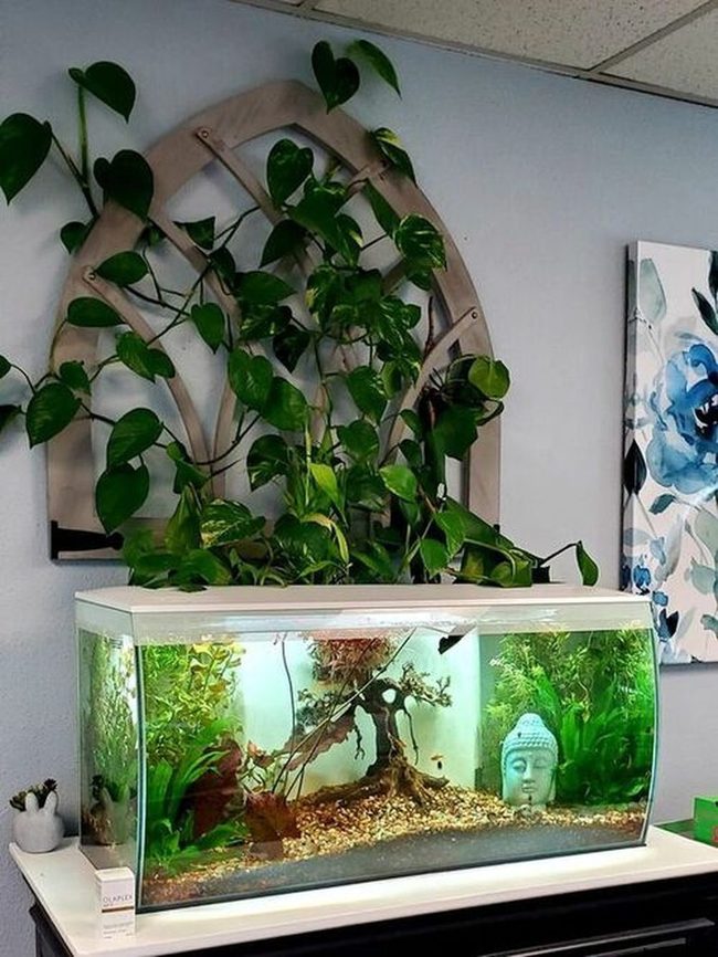 Green Vines Fish Tank Filter