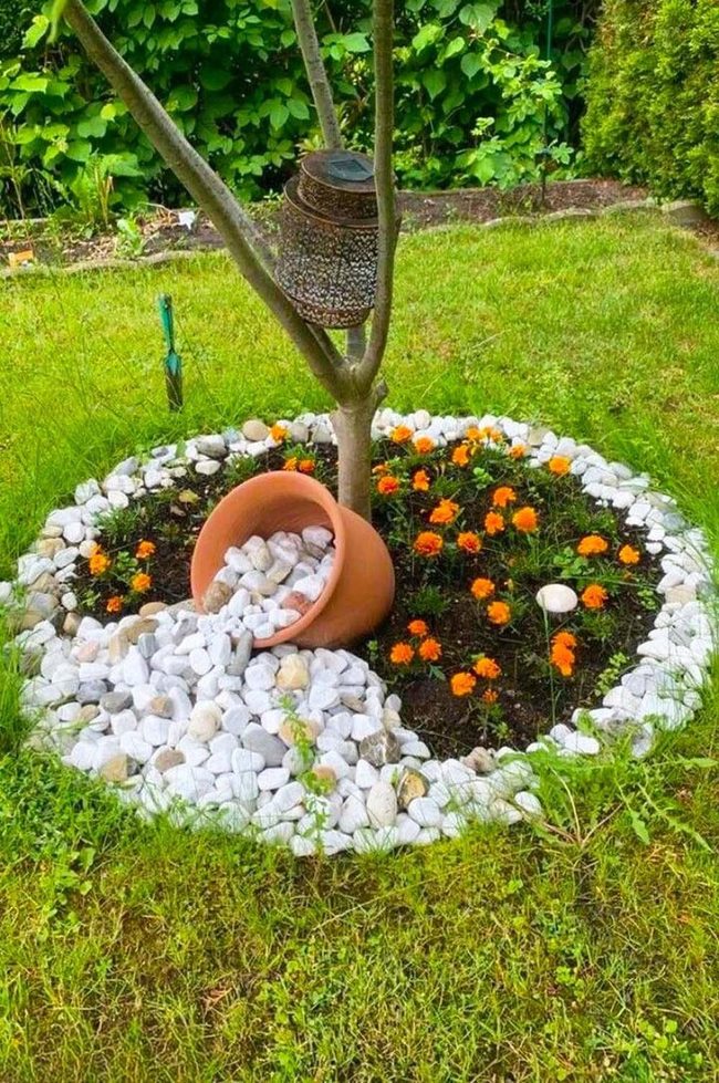 Orange Marigolds Spilling From Terracotta