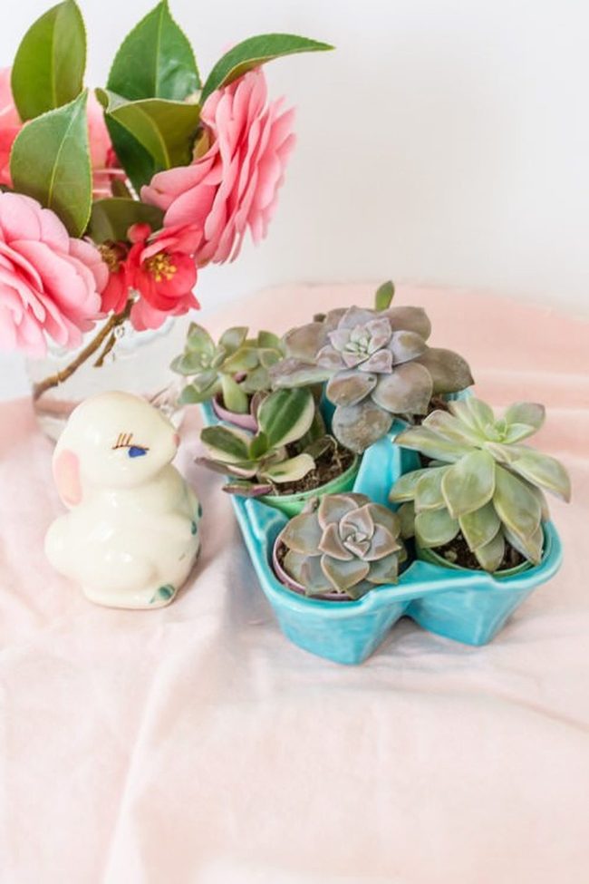 Ceramic Eggs Meet Living Succulents