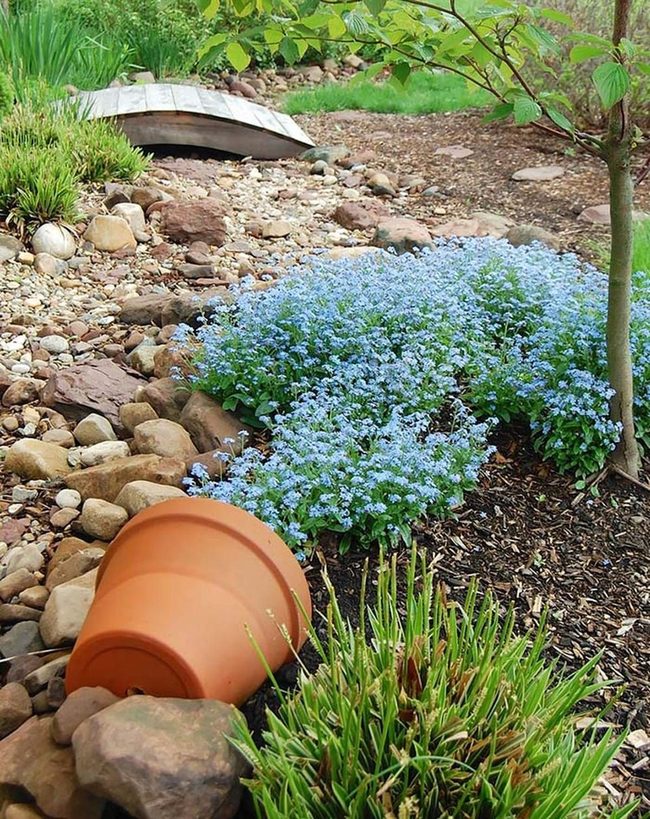 Cascading Blooms From Toppled Pots