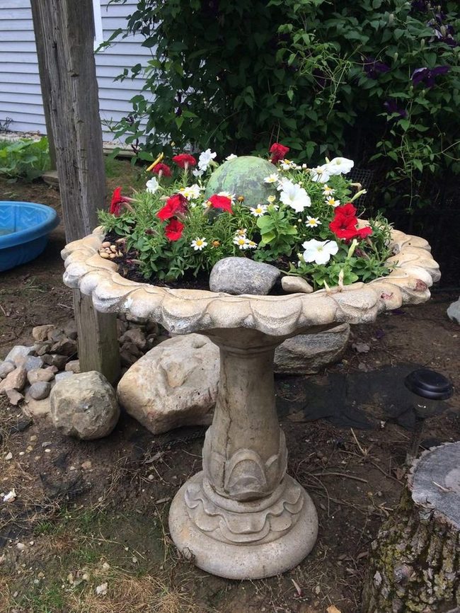 Red Petunias Bird Bath Planter