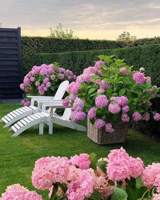Garden Seating For Peaceful Moments