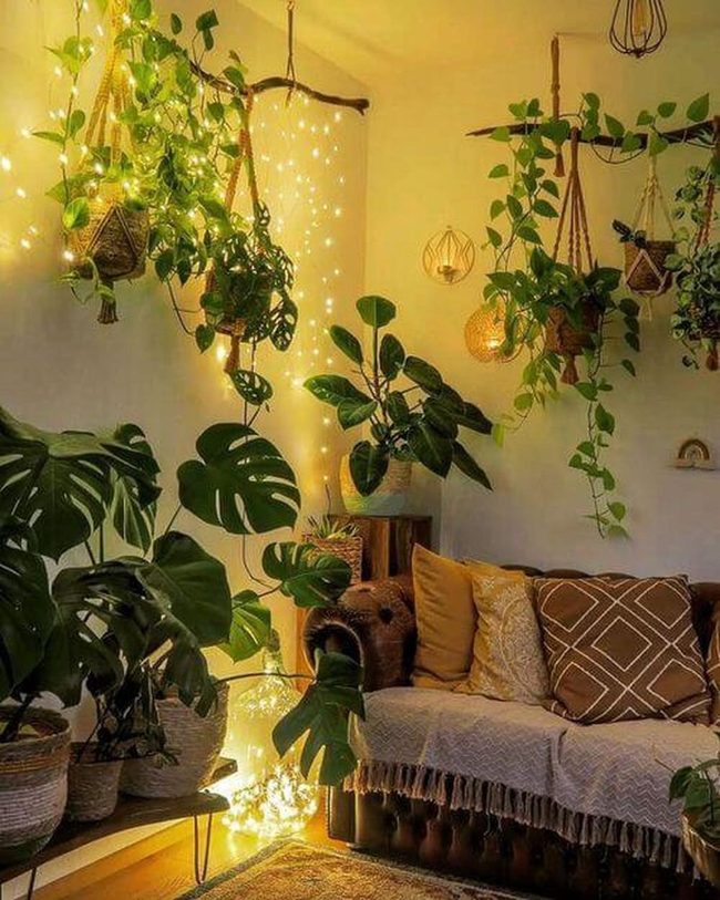 Cascading Greens With Woven Warmth