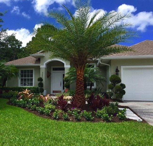 Palm Trees Frame Tropical Welcome