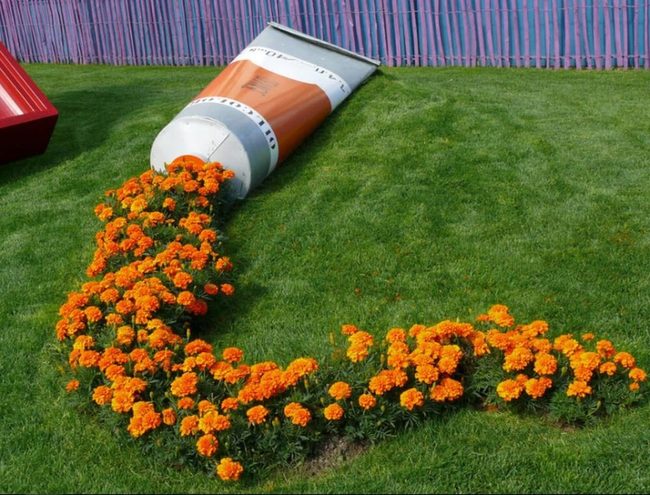 Spilled Orange Marigolds Across Green