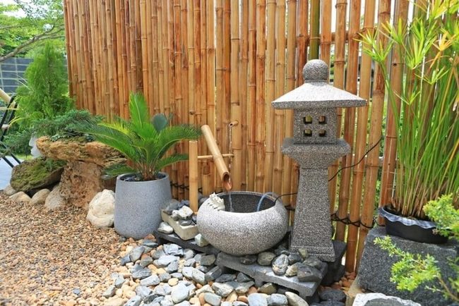 Wooden Bridge Through Living Garden