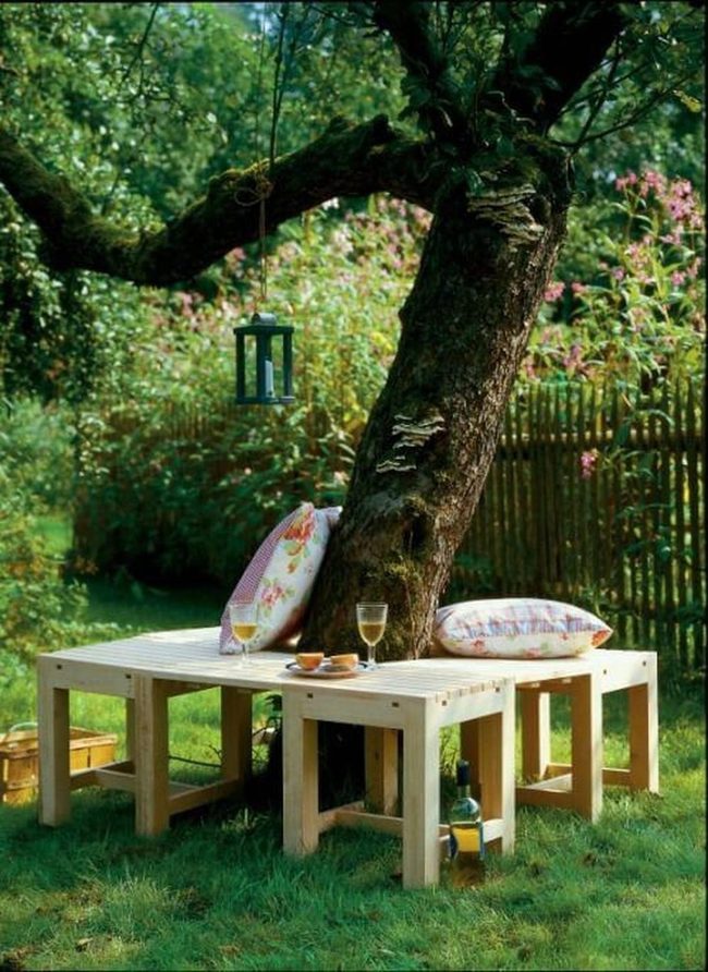 Wooden Benches Under Sheltering Trees