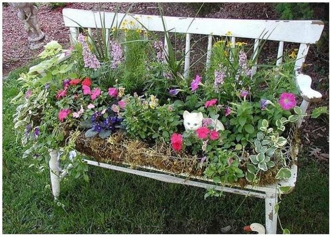 Vintage Ladder Climbing Vine Garden