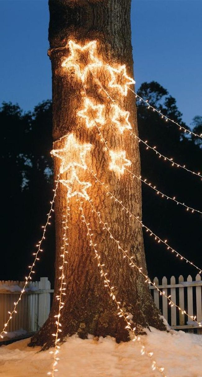 Starlit Tree With Cascading Lights