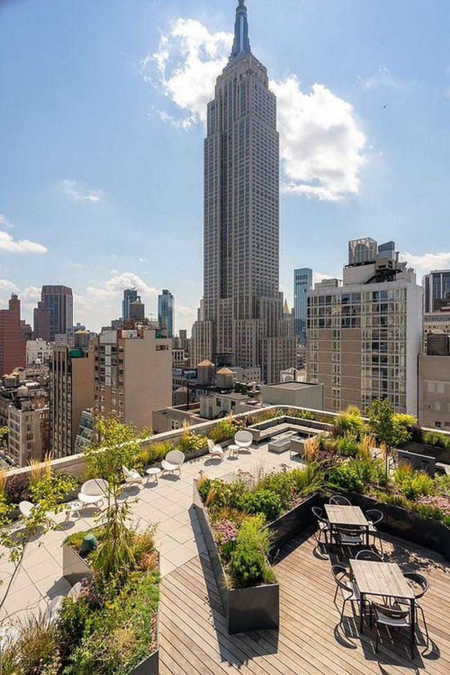 Concrete Terrace Blooming Overhead
