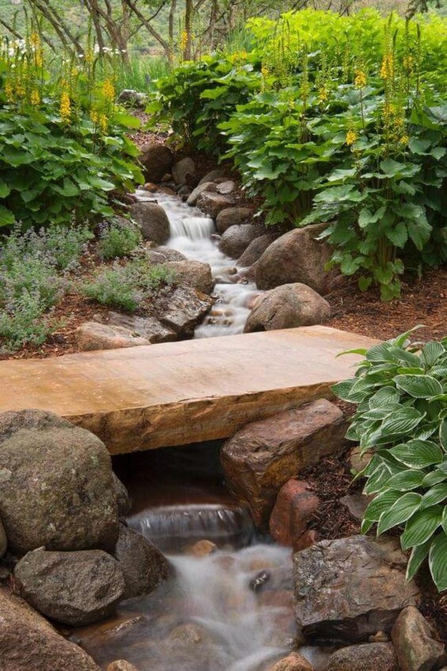Yellow Flowers Frame Flowing Water Garden