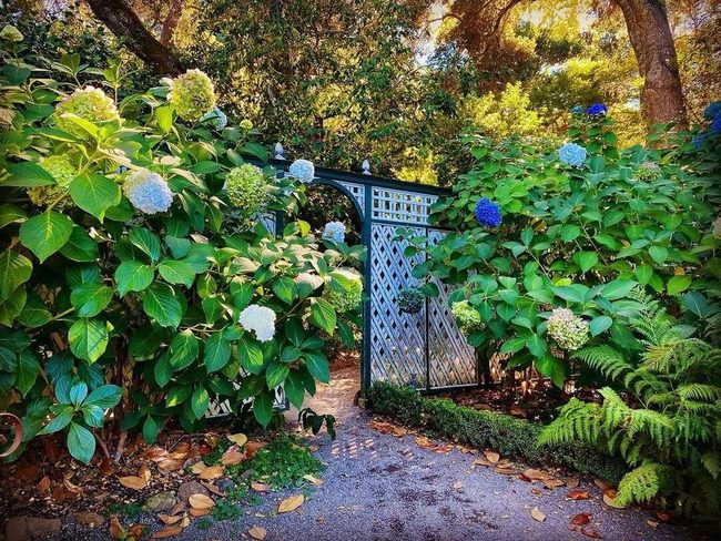 Seafoam Lattice Garden Gateway
