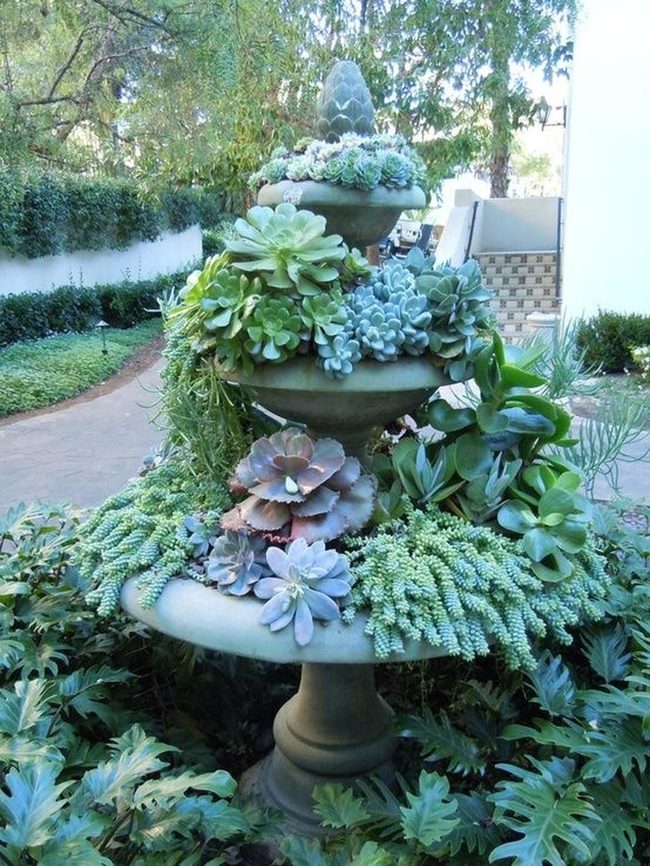 Stone Fountains Crowned With Living Succulents