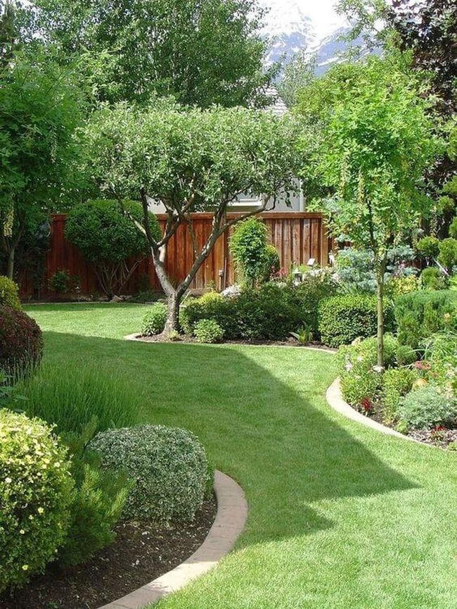 Winding Garden Paths Through Layered Plants