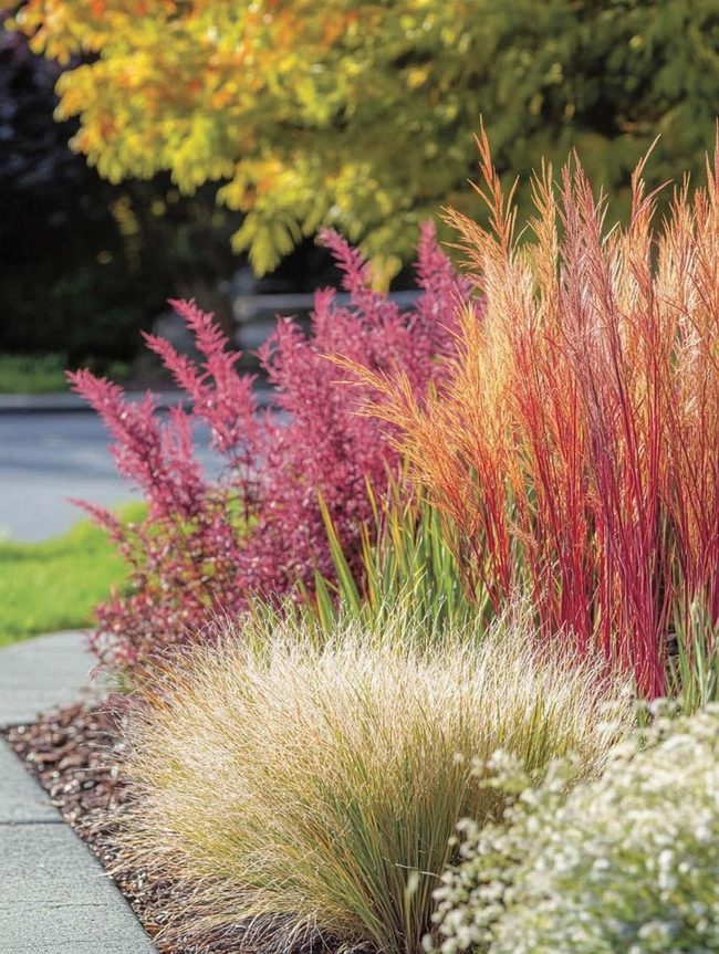 Green Layers For Low-Water Gardens