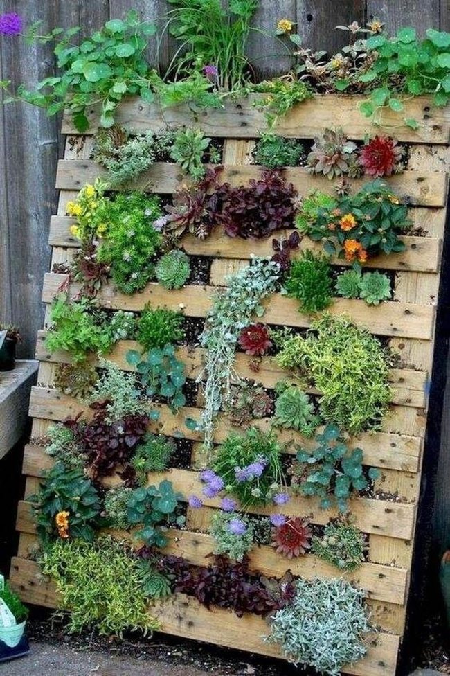 Stacked Wood Pallets With Living Plants