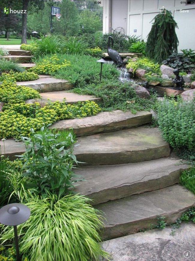 Stone Pathway Through Emerald Forest Garden