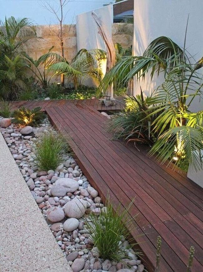 Stone Garden Pathway With Lush Palms