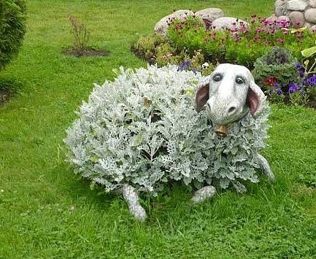 Woolly Grazing Contentment