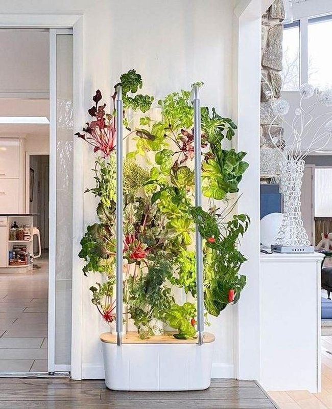 Living Walls Bring Fresh Herbs Home