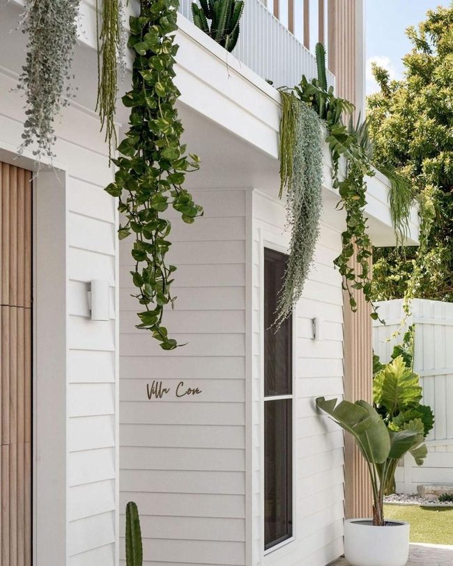Cascading Vines Transform Bare Walls