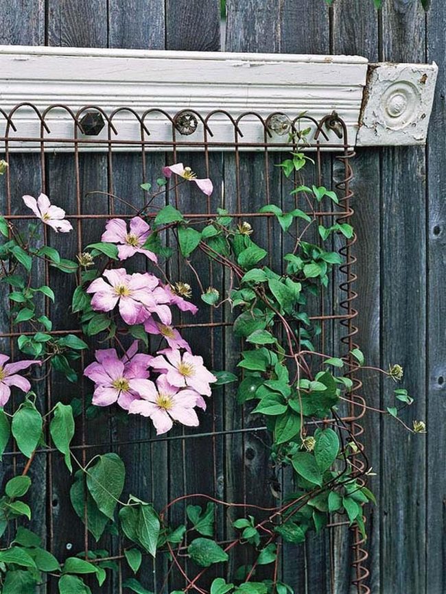 Flowers Climbing Wire Frames