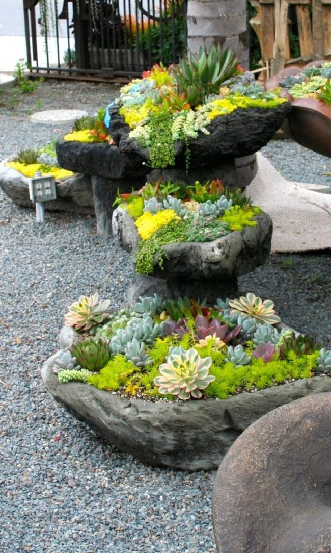 Stone Planters With Yellow Succulents