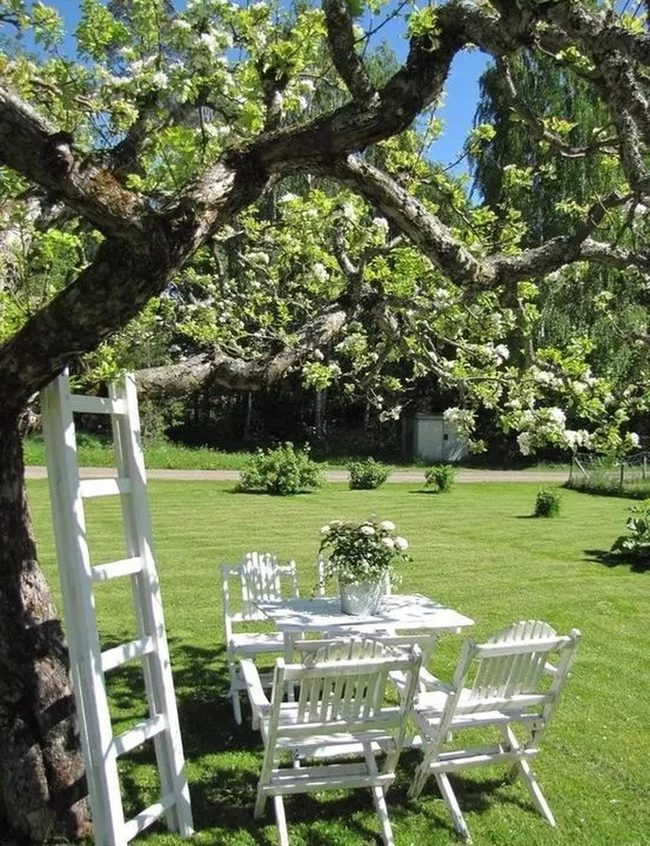 White Garden Beneath Blossoming Tree