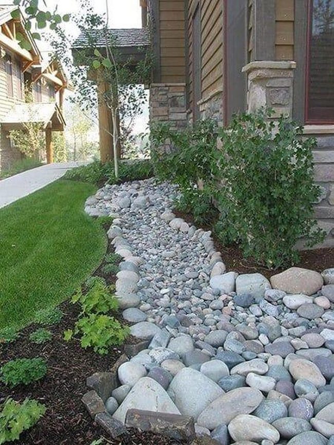 Stone And Groundcover Garden Low-Maintenance