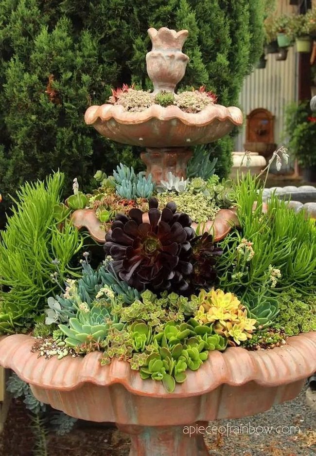 Living Succulent Stone Fountain