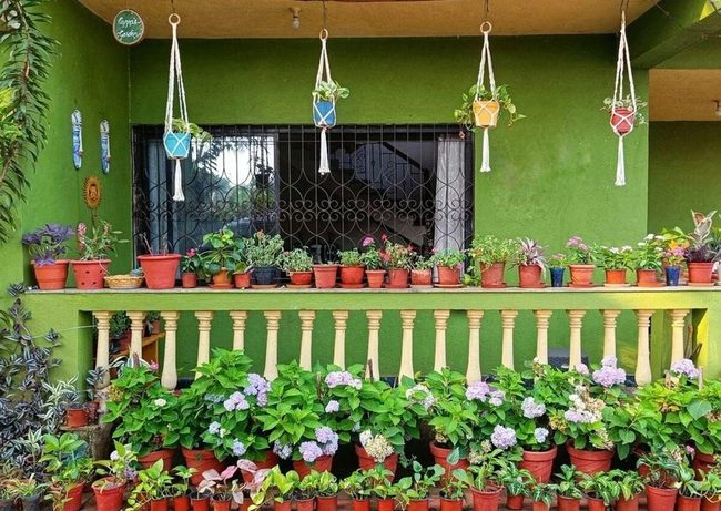 Layered Potted Plants On Porch