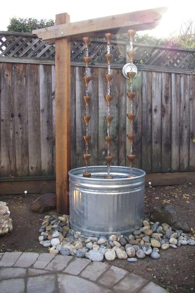 Cascading Water Catches Wildlife Closer