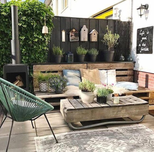Green Sanctuary Among Living Plants