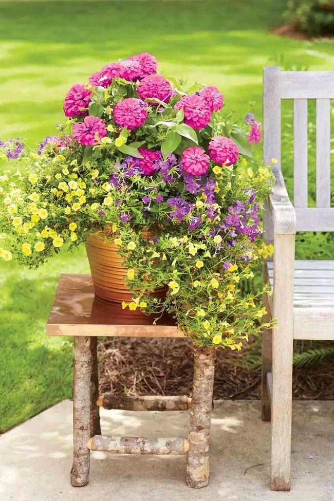 Wooden Table With Blooming Pink Yellow Pot